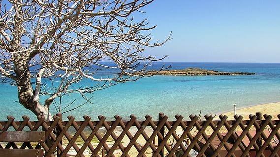 cyprus, protaras, fig tree bay, beach, calm, resort, landscape HD wallpaper