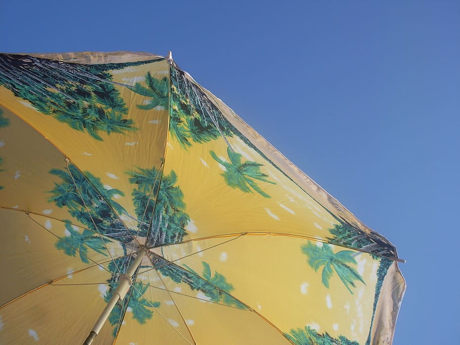 Beach, umbrella, sky, car, no people, blue, plant, day, outdoors HD wallpaper