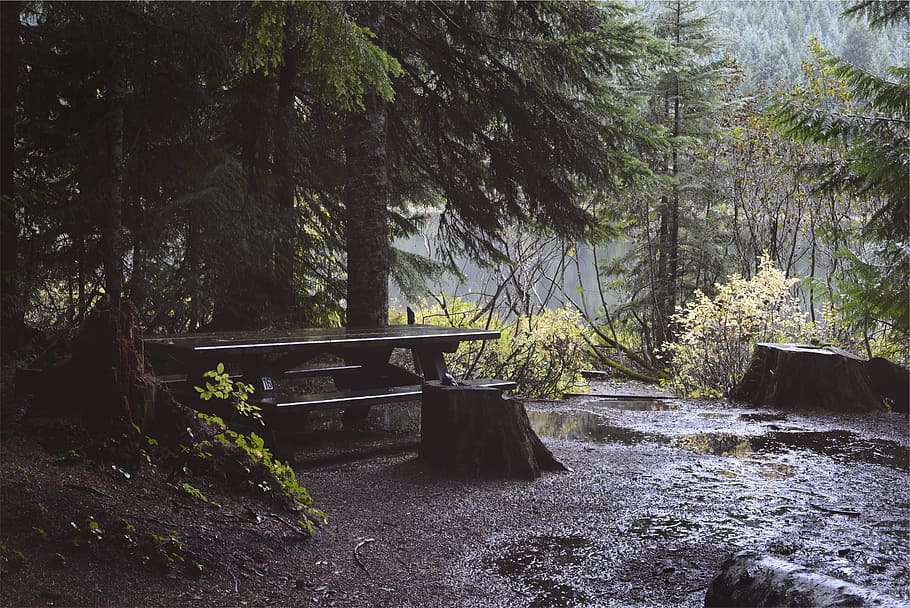photo of brown wooden picnic table, raining, wet, trees, mud HD wallpaper