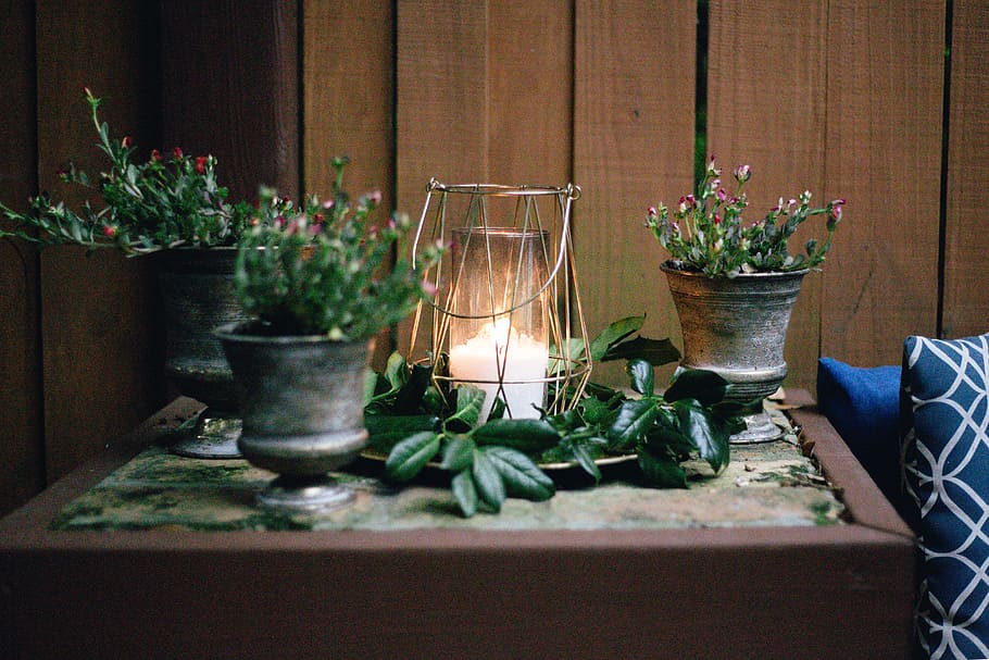 lighted candle on table beside pots, Celebration, plant, candlelight HD wallpaper