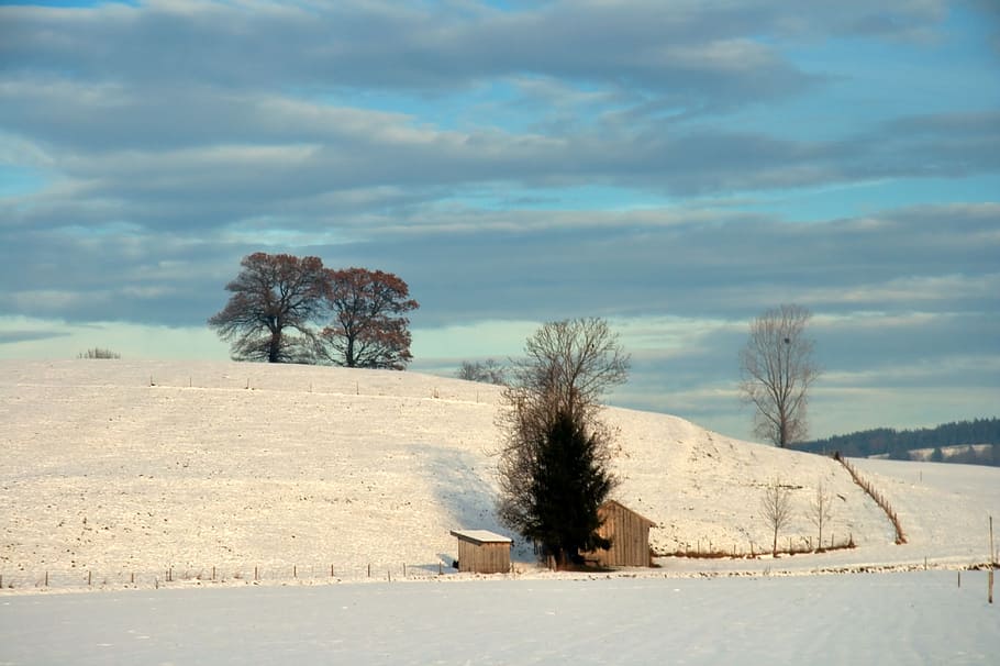 Germany, Bavaria, Hill, Snow, Winter, trees, sky, clouds, nature HD wallpaper
