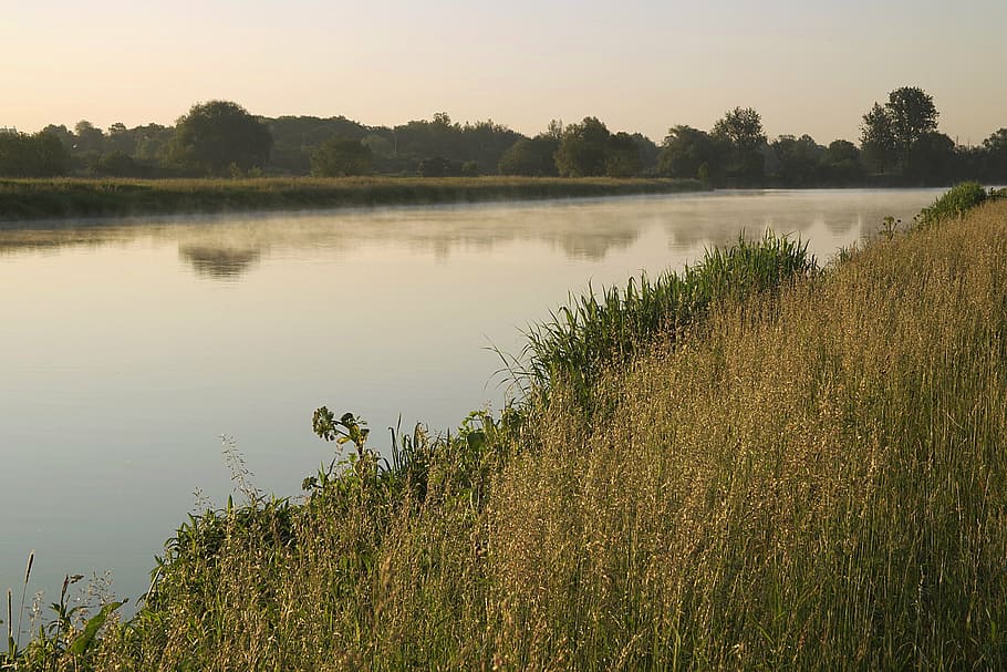 river, channel, water, smooth, morning, the fog, beach, overgrown HD wallpaper
