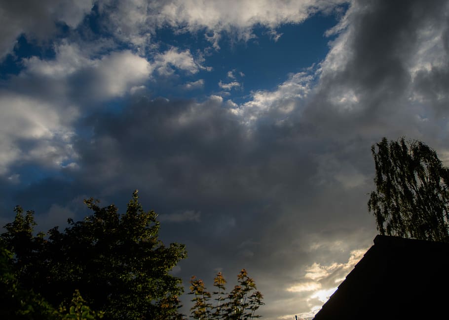 Sky, Clouds, Dark, Black, Highlights, blue, bushes, trees, house HD wallpaper