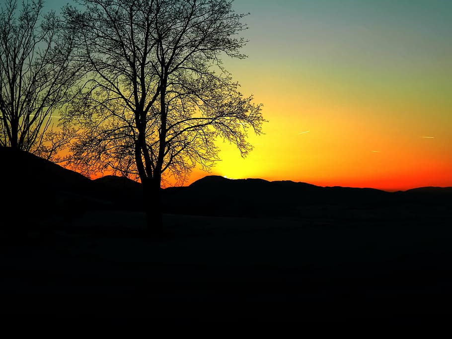 sunset, tree, liptov slovakia, winter, sky, silhouette, beauty in nature HD wallpaper