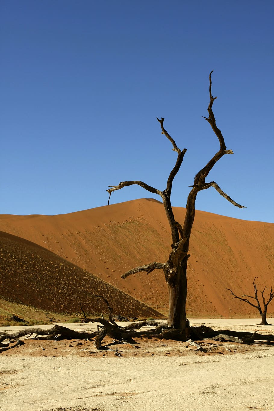namibia, sossusvlei, dunes, nature, hills, desert, arid climate, HD wallpaper