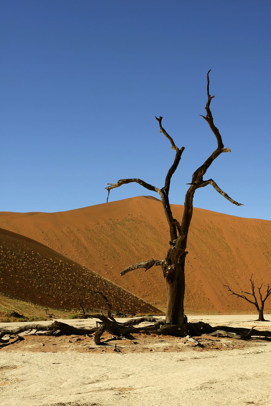 namibia, sossusvlei, dunes, nature, hills, desert, arid climate HD wallpaper