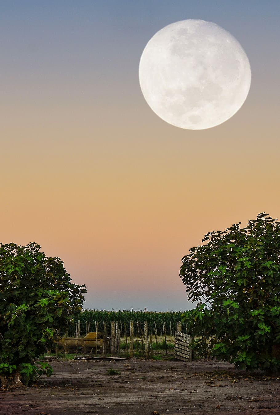 nature, sky, sun, sunset, beauty in nature, moon, scenics - nature HD wallpaper