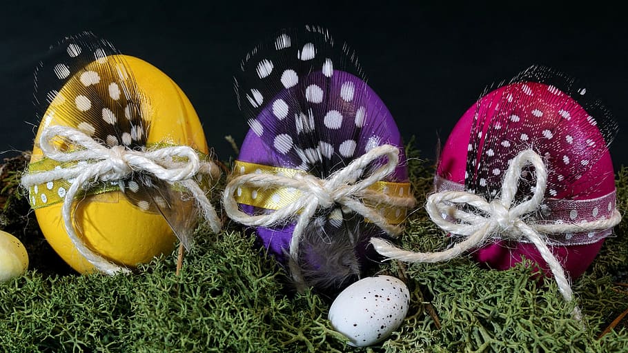 three assorted easter eggs, colorful eggs, happy easter, colored