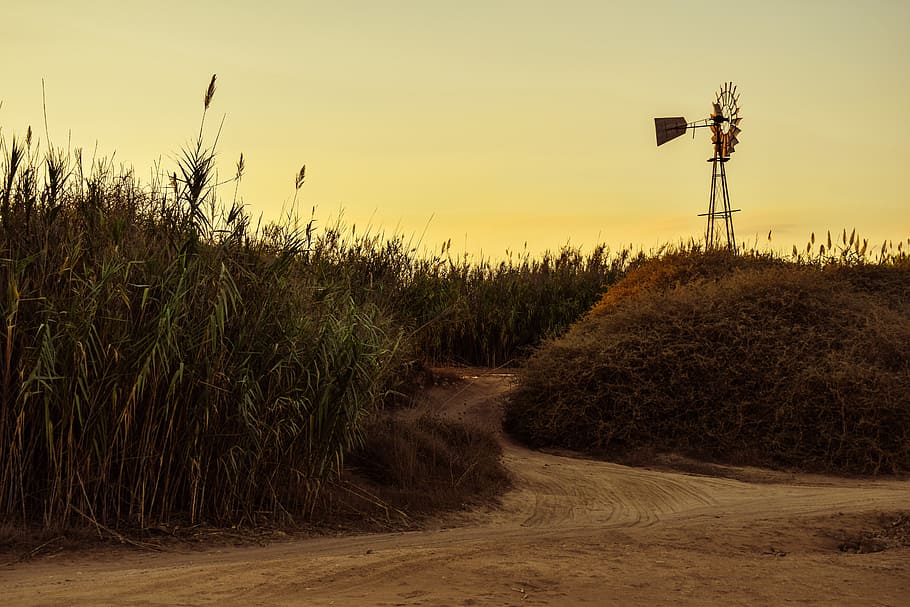 cyprus, kapparis, dirt road, reeds, windmill, countryside, afternoon, HD wallpaper