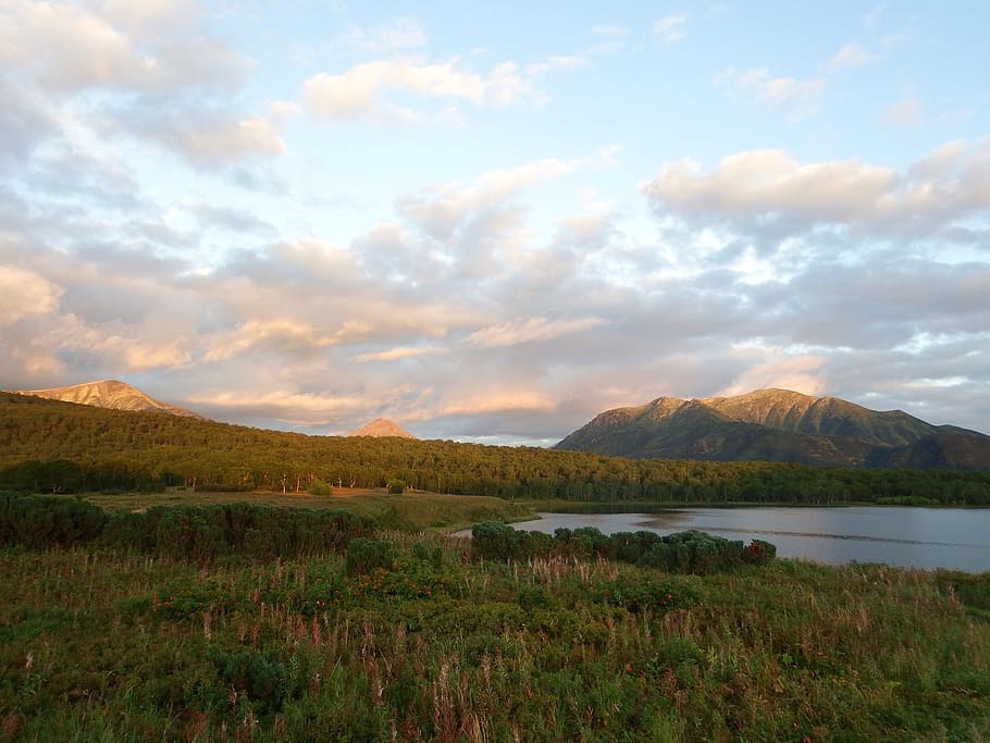 lake, evening, sunset, clouds, summer, water, landscape, forest HD wallpaper