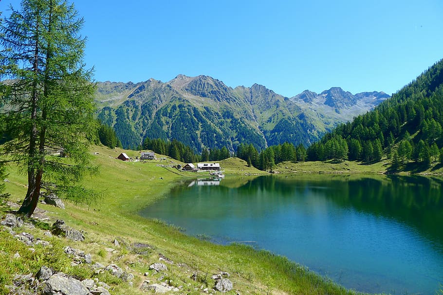 calm body of water near tree during daytime, bergsee, styria-austria, HD wallpaper