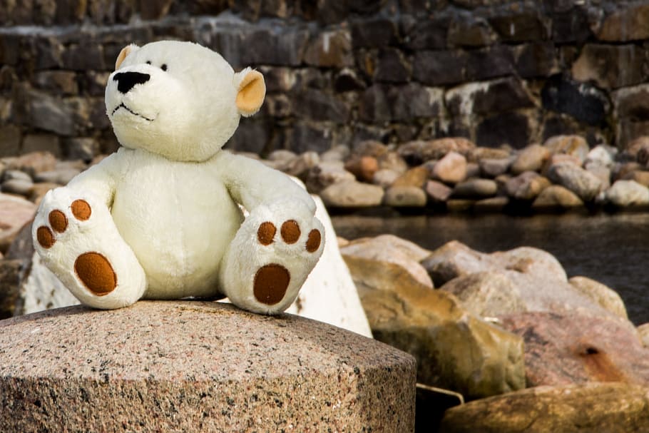bear, bears, pier, water, stones, view, white, brown, teddy HD wallpaper
