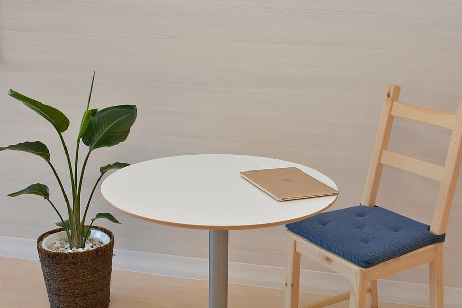 round brown wooden table beside plant, office, mac, macbook HD wallpaper
