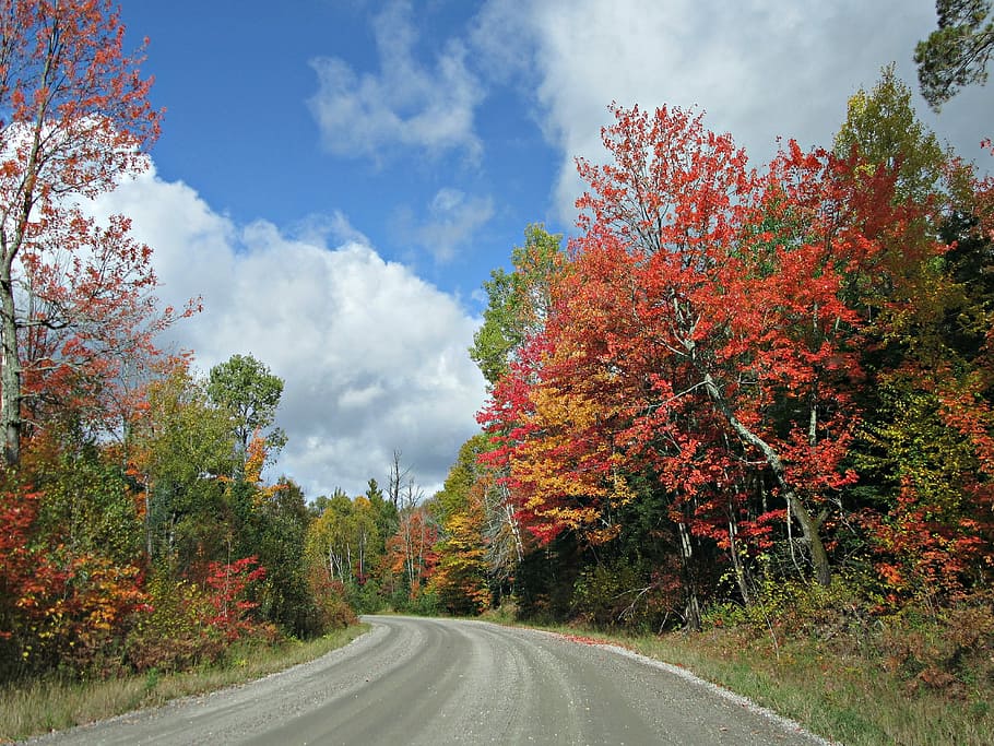 Autumn, Fall, Road, Trees, Leaves, foliage, colors, sky, clouds HD wallpaper