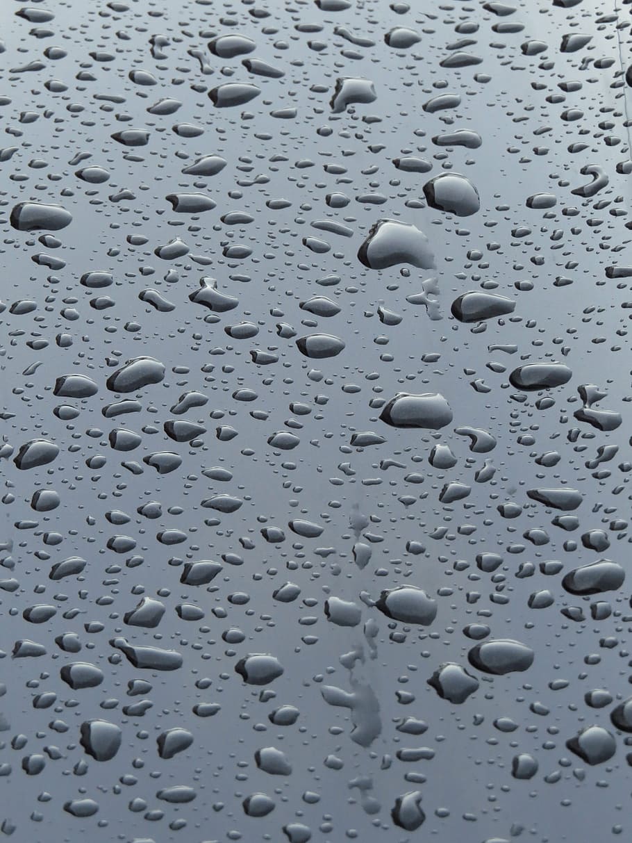 water drops, raindrop, wet, shine, auto, paint, black, run off HD wallpaper