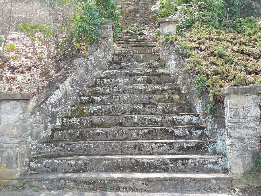 gray concrete stairs between grass field, masonry, steps, wall HD wallpaper