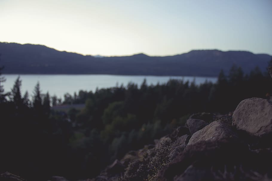 green leafed trees, landscape photo of gray rocks near green trees and lake during daytime HD wallpaper