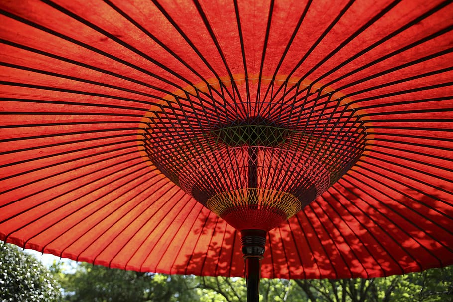 big umbrella, red, trees, leaves, forest, stripes, lines, japan HD wallpaper