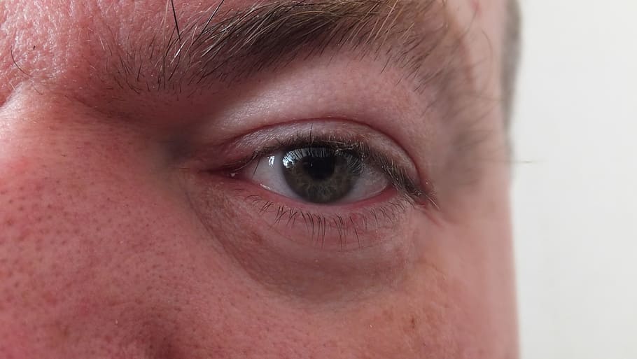 Eye, Face, Staring, Stare, Eyebrows, eyeball, eyelid, eyelashes HD wallpaper