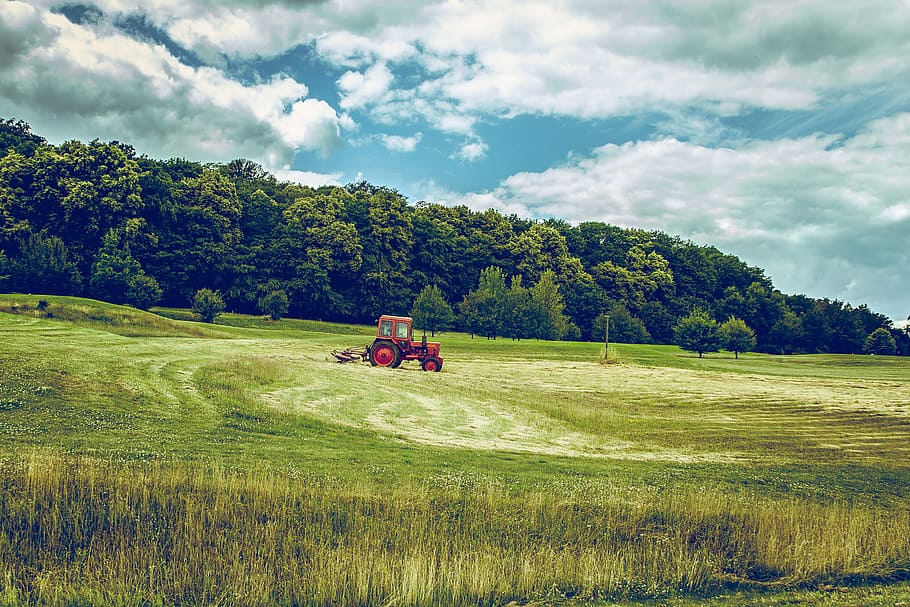 red tractor on green grass field, tractor on grass field, tree HD wallpaper