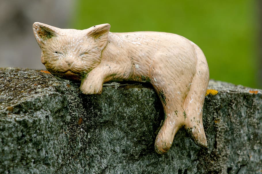 cat, decoration, statue, sculpture, art, mourning, tomb, cemetery HD wallpaper