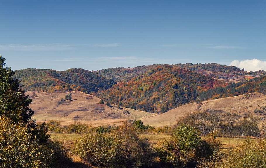 hills during daytime, fall, landscape, nature, autumn, forest HD wallpaper