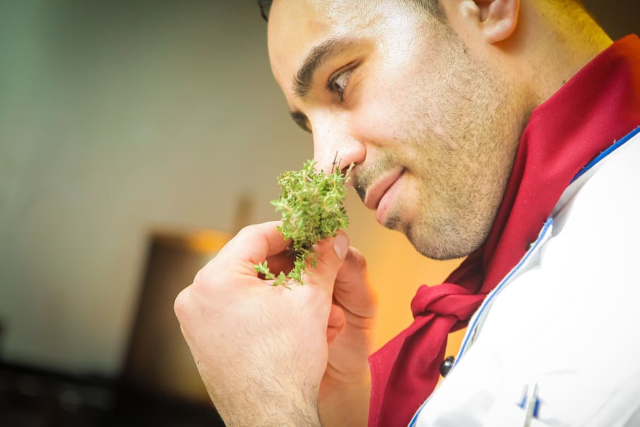 man about to smell green leaf plant, chef, cook, spice, restaurant HD wallpaper