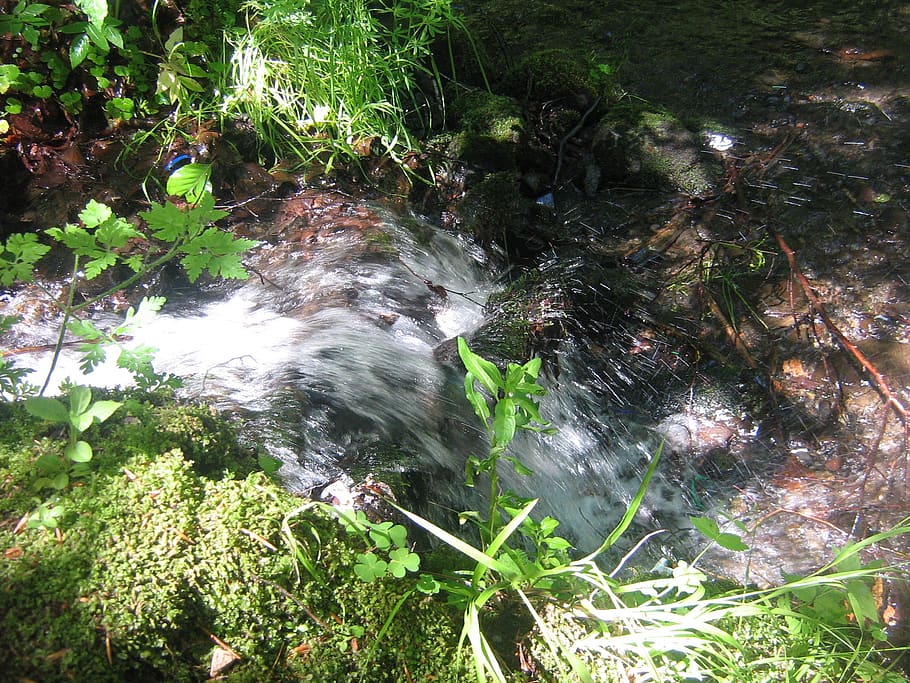 water, source, drop, spring, freshness, nature, forest, snowy HD wallpaper