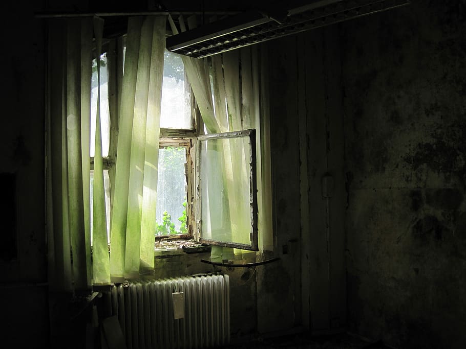 green window blinds, old, broken, light, wall, atmosphere, ruin HD wallpaper
