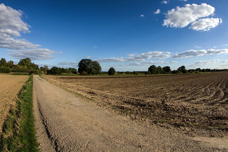 clouds, panorama, arable, lane, field, farm, landscape, summer HD wallpaper