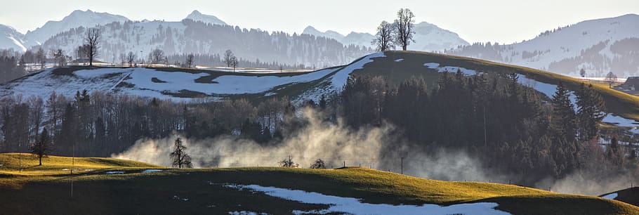 landscape photography of mountains and trees, green trees covered with smoke at daytime HD wallpaper