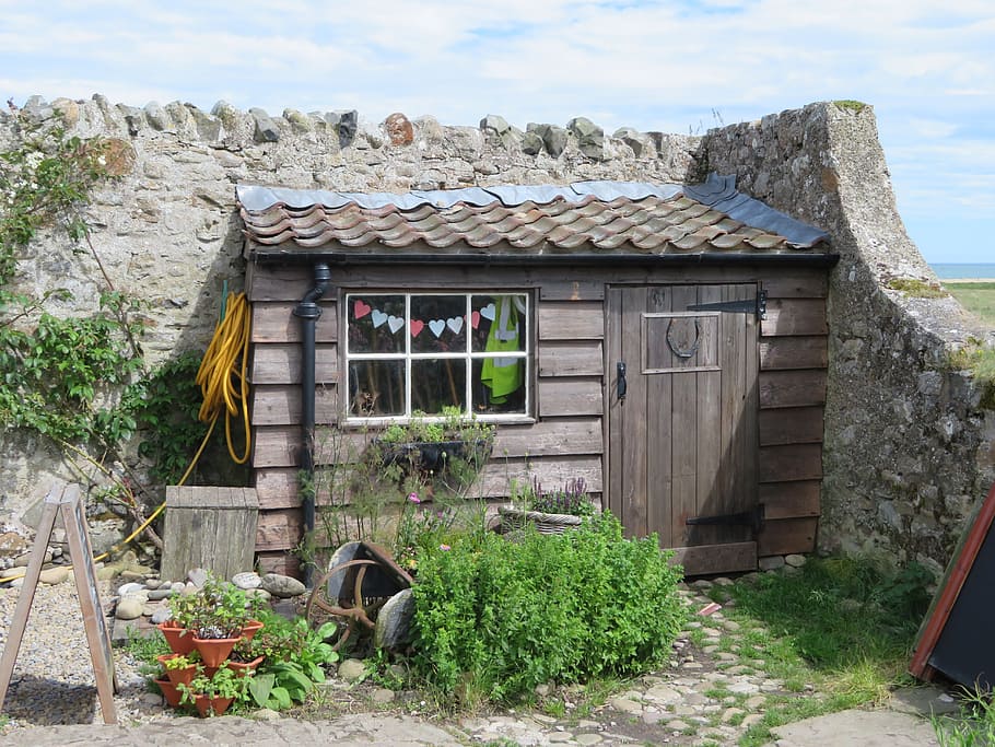 shed, hut, garden, holy island, outdoor, construction, wooden, HD wallpaper
