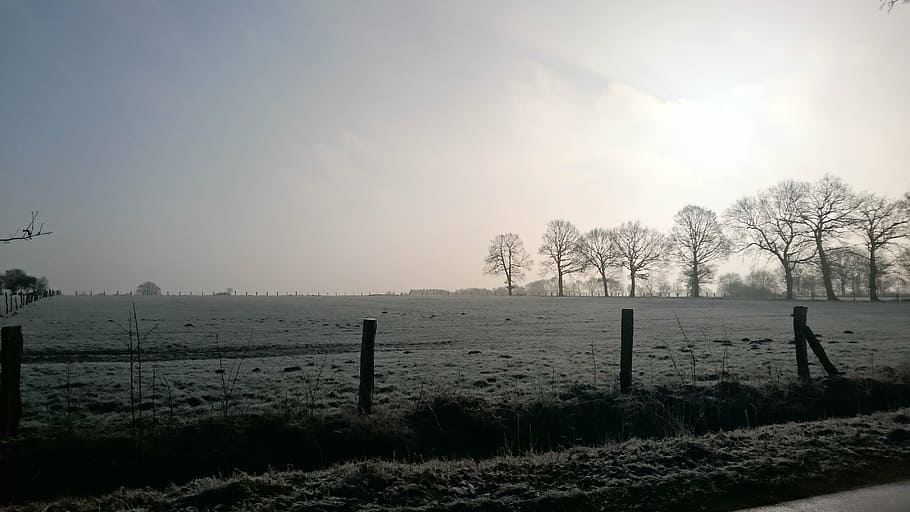 sun, winter, panorama, sky, fence, boundary, plant, environment HD wallpaper