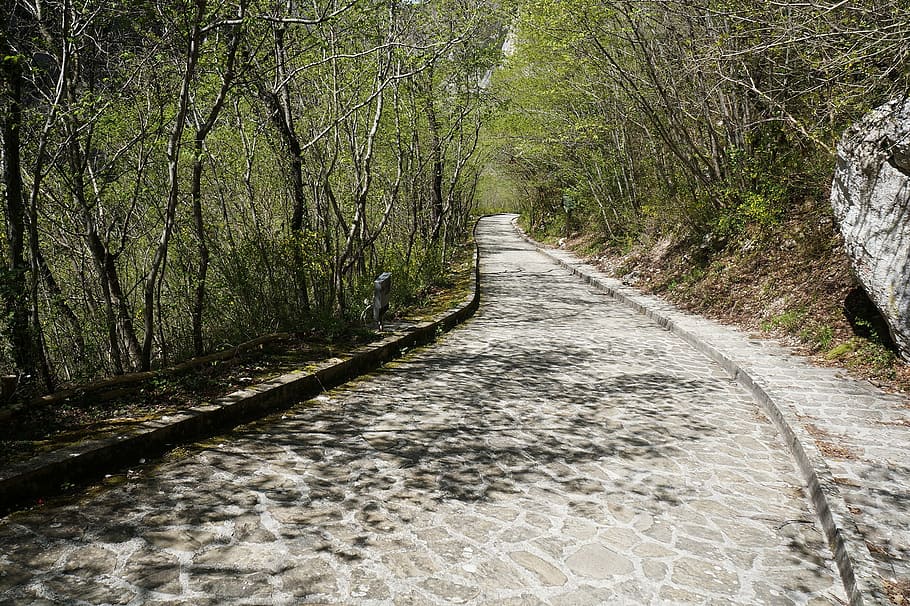 Path, Trees, Flooring, Trail, Road, Via, nature, the way forward HD wallpaper