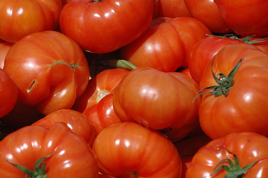 tomato, red, power, food and drink, vegetable, healthy eating HD wallpaper