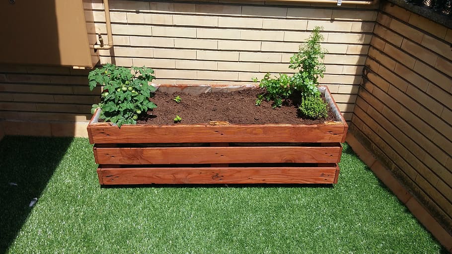 furniture, wood, pallets, plant, green color, growth, wood - material
