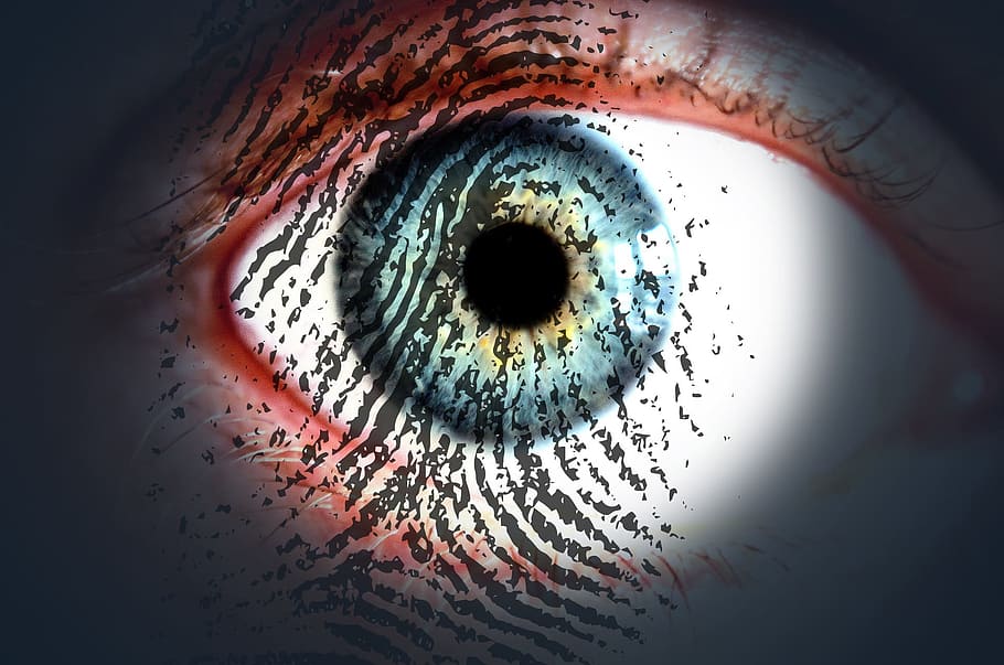 closeup photo of fingerprint with eye iris, eye pupil, and eye cornea