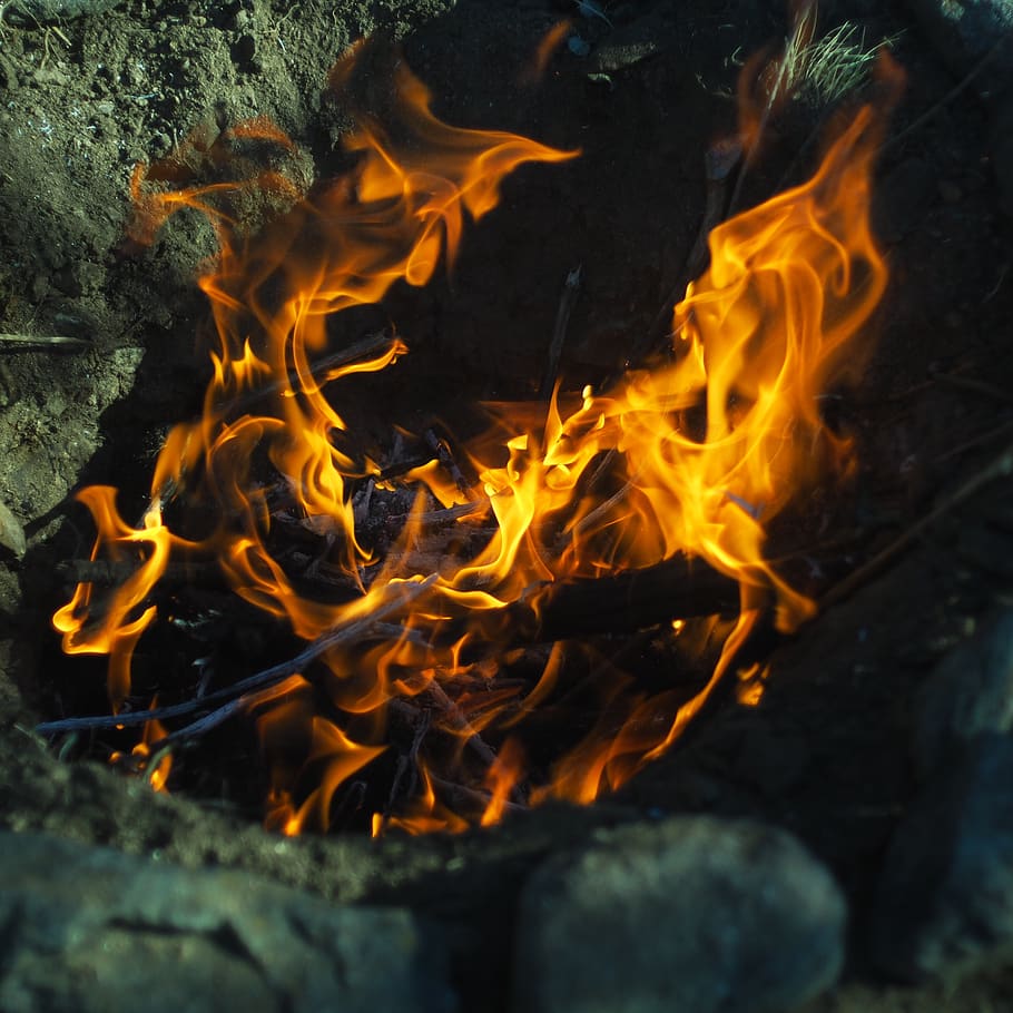 fire, flames, campfire, burning, fire - natural phenomenon