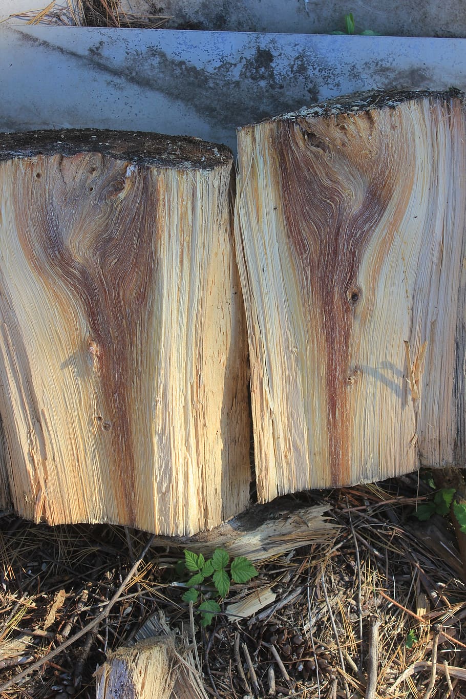 wood spirits, pine, firewood, no people, day, nature, plant HD wallpaper
