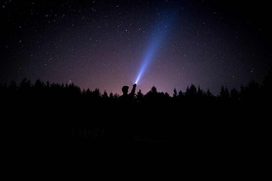 silhouette of person holding flashlight during nighttime, silhouette of man and tall trees under starry night sky, HD wallpaper