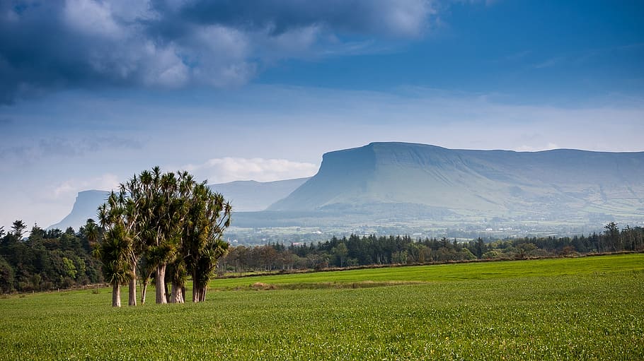 irish, mountains, scenery, nature, landscape, scenics, tree HD wallpaper