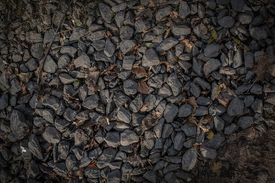 rock field photograpgh, autumn leaf, gravel, grey, pattern texture HD wallpaper