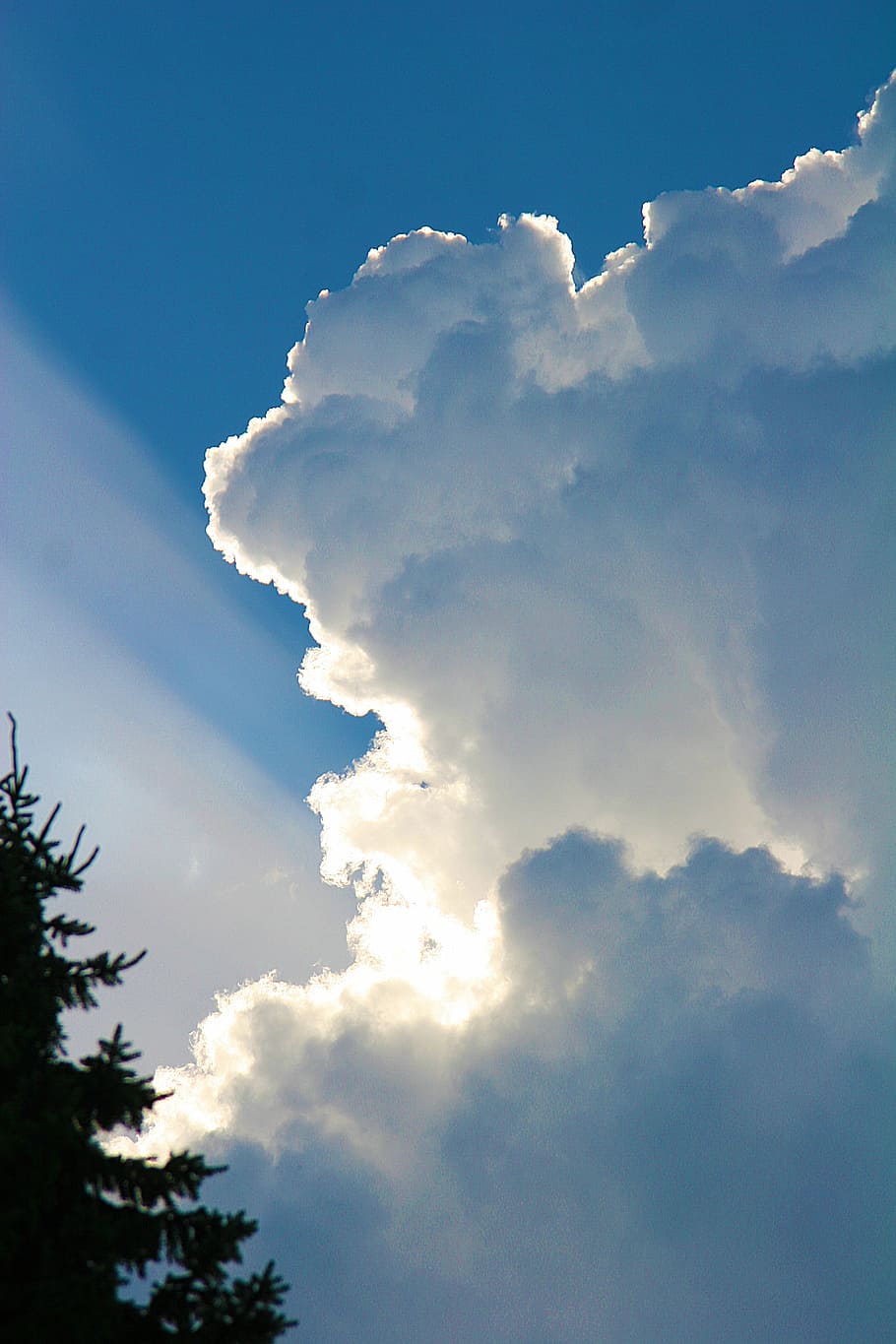 clouds, cumulus, sky, sun, sunbeam, cloud - sky, beauty in nature HD wallpaper