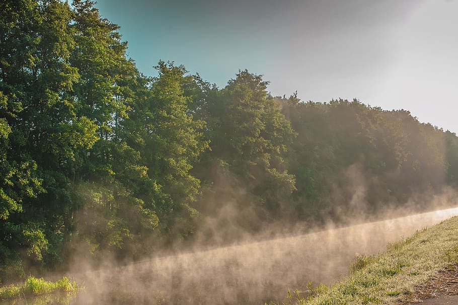 fog, river, water, romantic, sky, morgenstimmung, tree, plant HD wallpaper