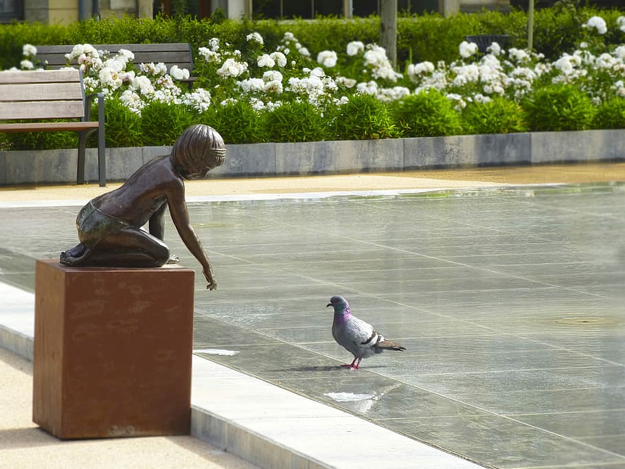 Source, Bird, Gardens, Paloma, park, sculpture, statue, monument HD wallpaper