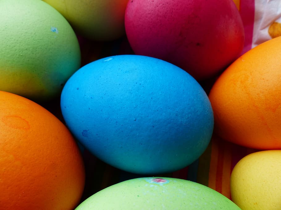 egg, colorful, easter eggs, paint, colored, cheerful, friendly, HD wallpaper