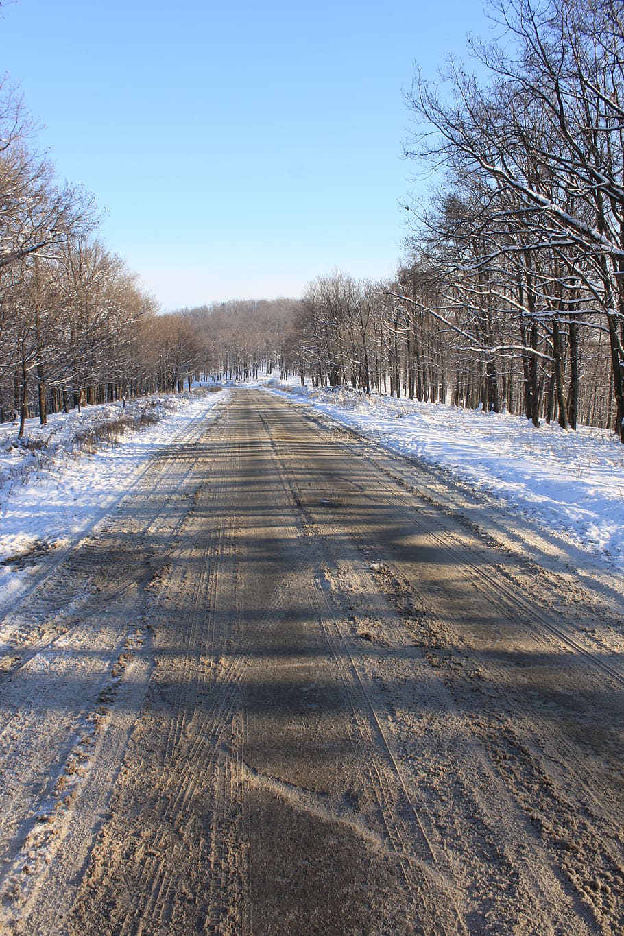 cold, forest, road, snow, snowy, trees, white, winter, wood HD wallpaper