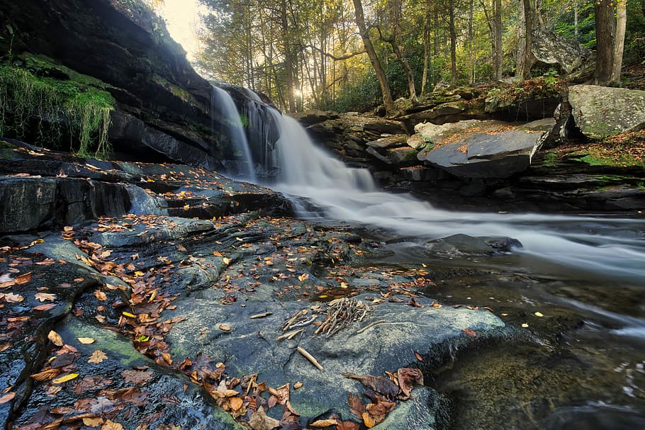 river surrounded by trees, waterfalls near green leafed trees HD wallpaper