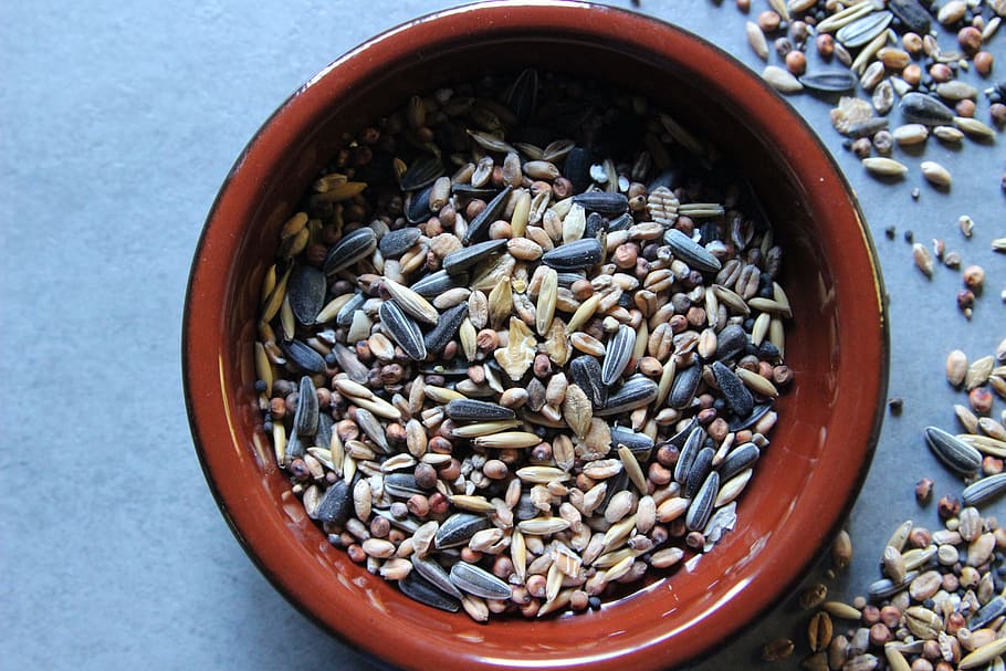 Bird Seed, Grains, Sunflower Seeds, millet, wheat, feed, winter feed