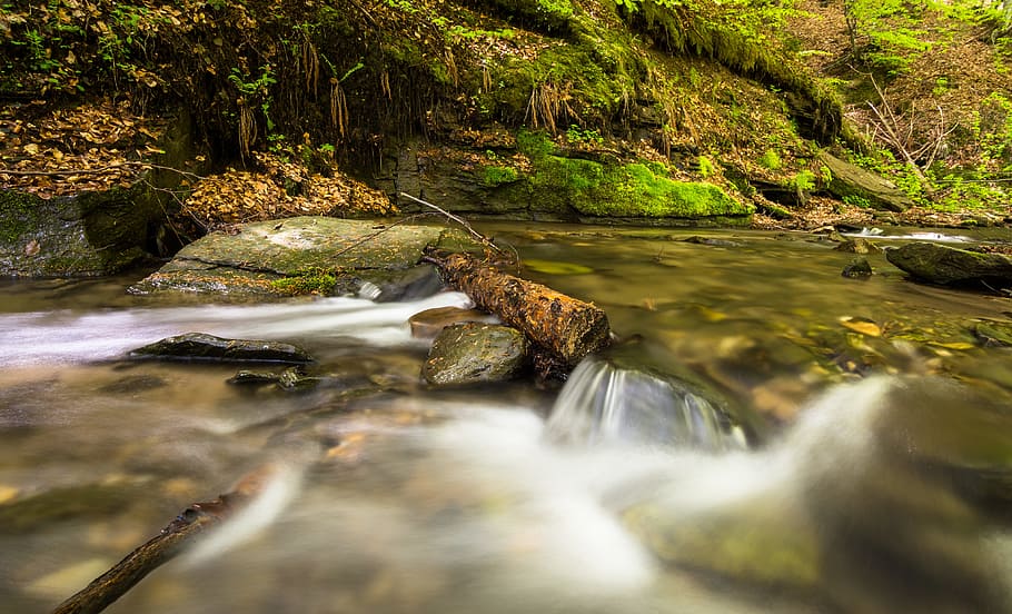 wood, landscape, nature, water, cascade, creek, environment, fall HD wallpaper